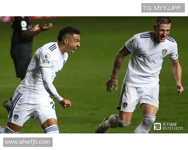 英超联赛特别报道聚焦北京排球队转型之路与未来发展展望