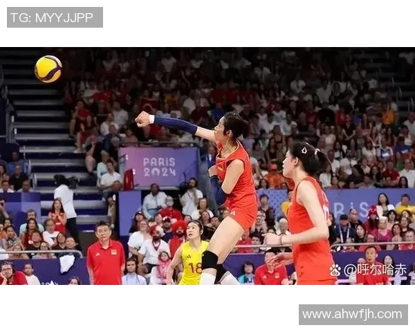 体育实时数据刘丽倾情分享排球技巧与心得助你提升球技的独特之路